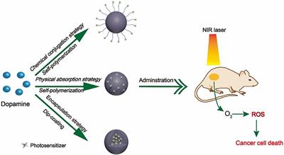 Polydopamine-Based Nanocarriers for Photosensitizer Delivery